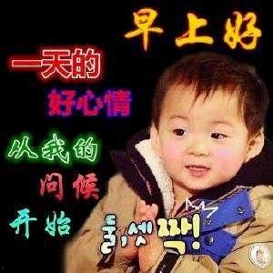 中老年辣眼睛表情包,笑翻网友